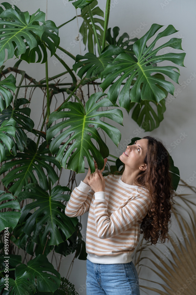 Being in touch with nature. Young attractive German woman plant lover caring for plants, standing near big Monstera houseplant and touching leaf, enjoying leisure time by doing home gardening Being in touch with nature. Young attractive German woman plant lover caring for plants, standing near big Monstera houseplant and touching leaf, enjoying leisure time by doing home gardening