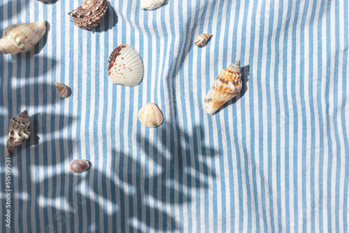 Different kinds of seashells with palm leaves shadows on the blue striped fabric background top view 