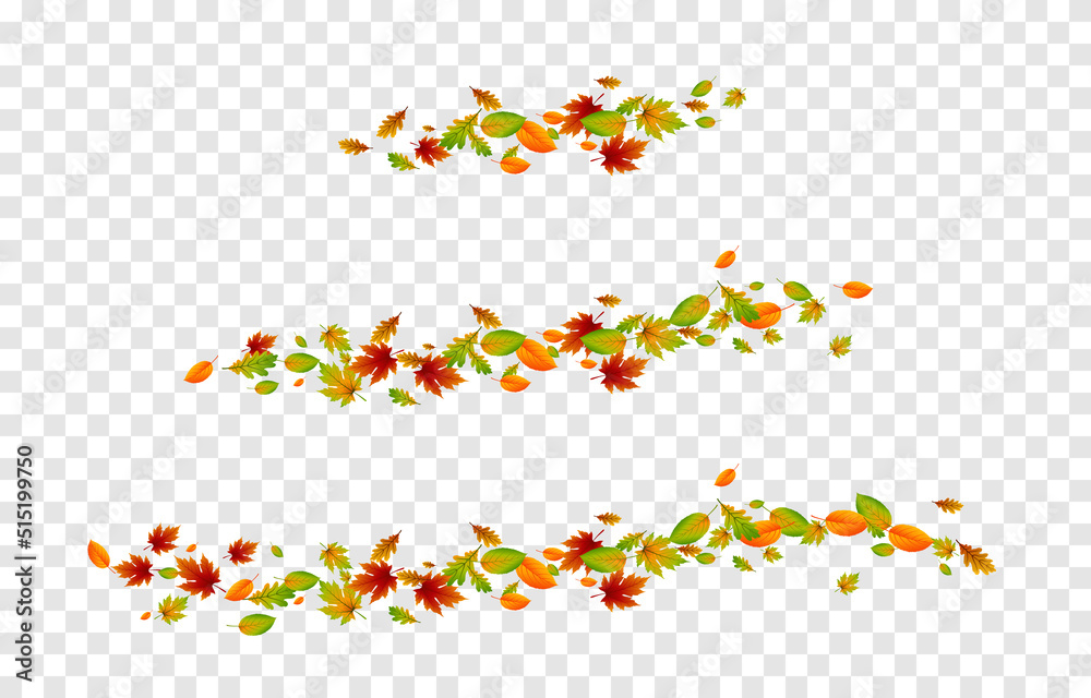 Vector leaves on isolated transparent background. The wind blows off the leaves, the wind blows. Autumn. Leaves png.