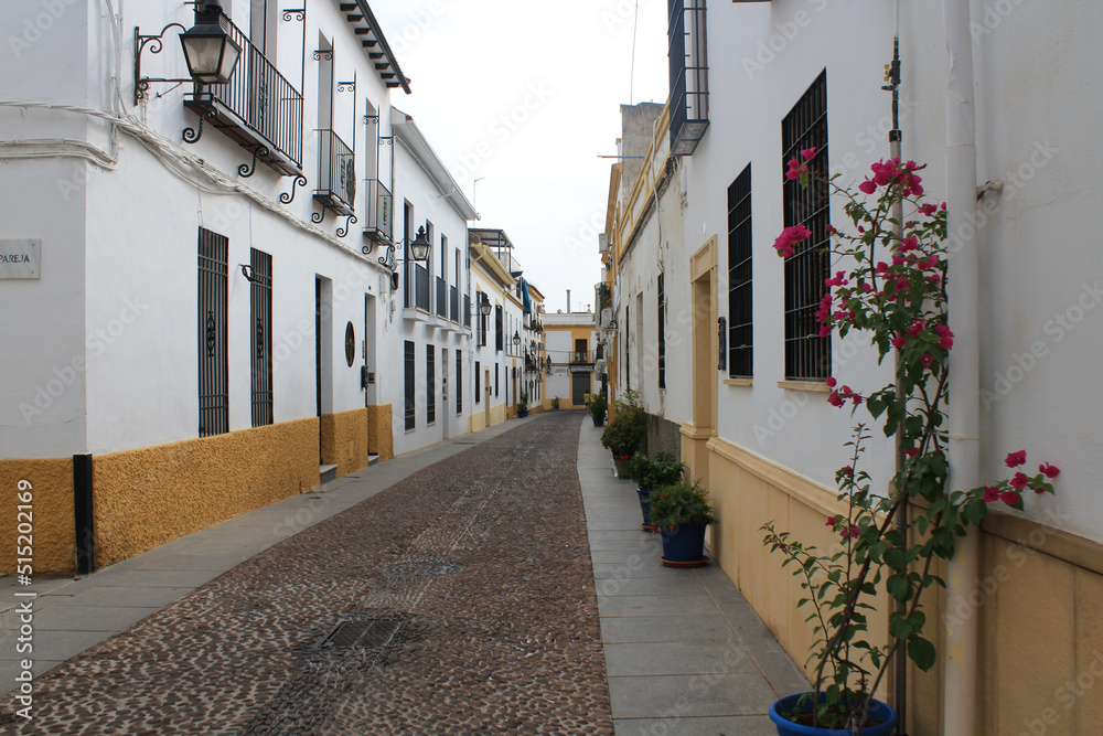 Cordoba, Spain, September 13, 2021: Street scene with traditional Andalucian architecture in the historical city of Cordoba. Narrow street in the San Basilio neighborhood, Andalusia.