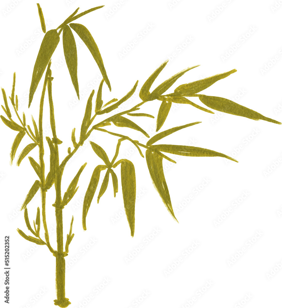 Obraz premium Watercolor japan leaf, Watercolor illustrations Bamboo Watercolor Asian Style Painting.