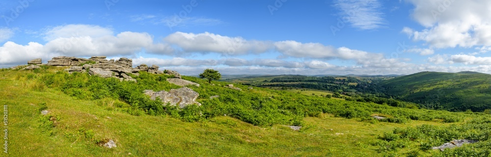 Dartmoor Panorama Dartmoor Panorama