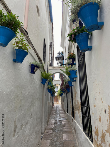 Cordoba, Spain, September 13, 2021: The Calleja de las Flores, a narrow passageway with arches that finished in a square where the visitor finds a series of flowerpots with geranium and carnations. photo