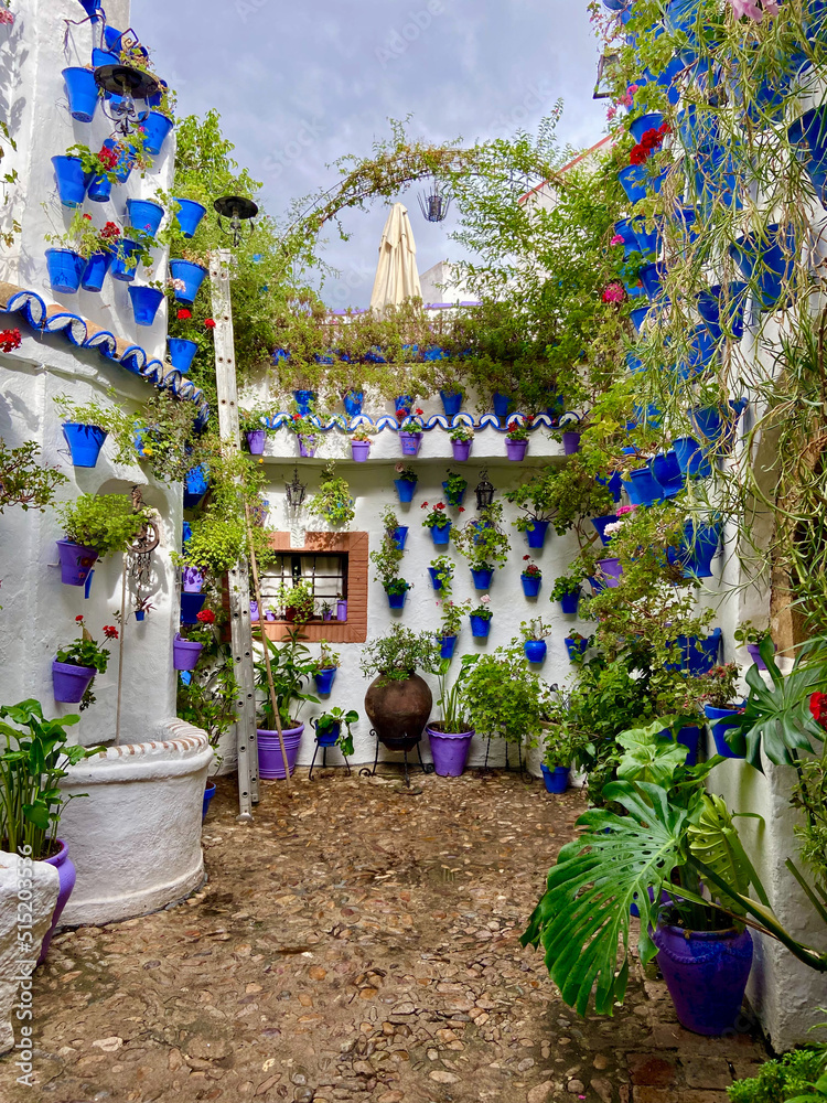 Cordoba, Spain, September 13, 2021: The flowery patios (Los Patios de Córdoba) of San Basilio neighborhood in the historic center of Cordoba, Andalusia. Flower-decorated courtyard.