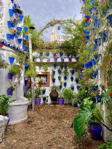 Cordoba, Spain, September 13, 2021: The flowery patios (Los Patios de Córdoba) of San Basilio neighborhood in the historic center of Cordoba, Andalusia. Flower-decorated courtyard. photo