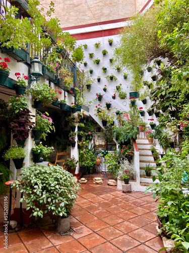 Cordoba, Spain, September 13, 2021: The flowery patios (Los Patios de Córdoba) of San Basilio neighborhood in the historic center of Cordoba, Andalusia. Flower-decorated courtyard. photo