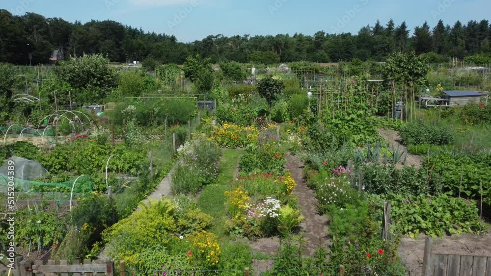 Kitchen garden, vegetable garden Aerial Kitchen garden, vegetable garden Aerial