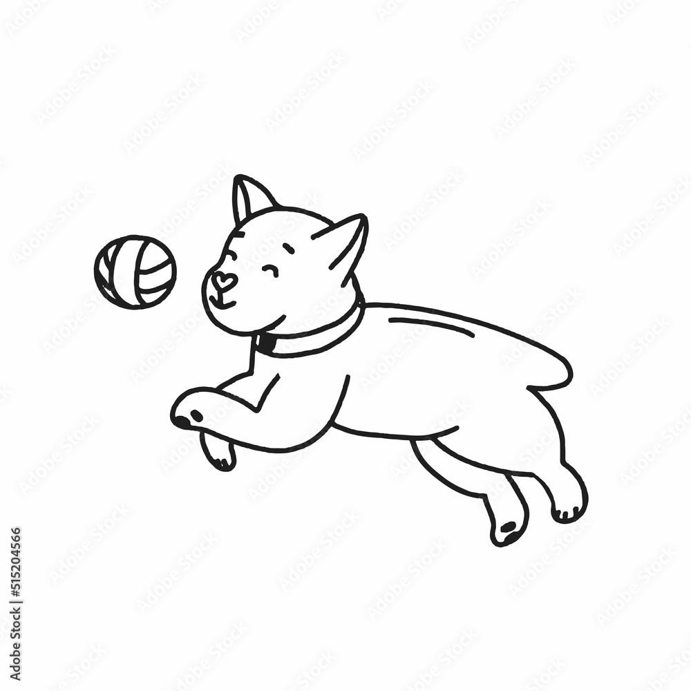 Hand drawn dog playing with ball. For the design of dog themes: training, caring, grooming a dog. Doodle style vector illustration. Hand drawn dog playing with ball. For the design of dog themes: training, caring, grooming a dog. Doodle style vector illustration.