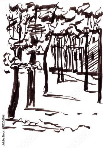 trees in the park, black and white drawing