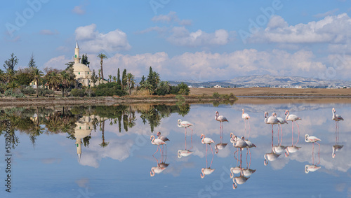 Fototapeta Naklejka Na Ścianę i Meble -  The ancient mosque Hala Sultan Tekke on the salt lake in Larnaca. Cyprus
