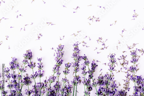 Beautiful frame with purple blooming lavender on a white background. flat lay © Olena Poberezhna