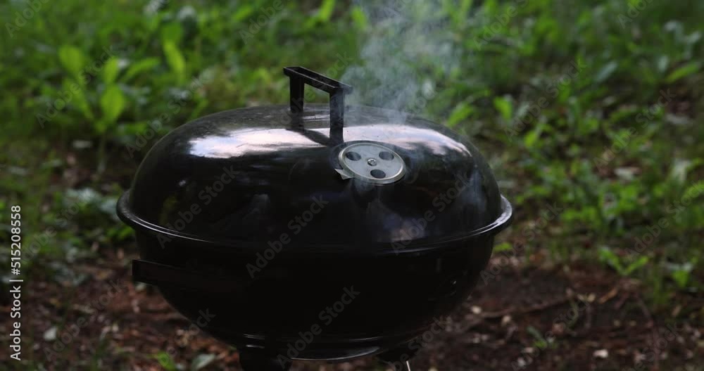 Modern barbecue grill in forest in summer. Modern barbecue grill in forest in summer.