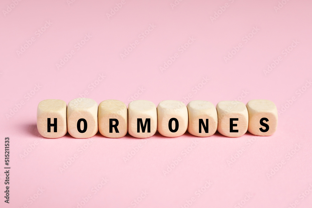 Word Hormones made of wooden cubes with letters on pink background Word Hormones made of wooden cubes with letters on pink background