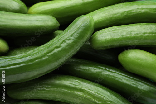Many fresh green cucumbers as background, closeup view