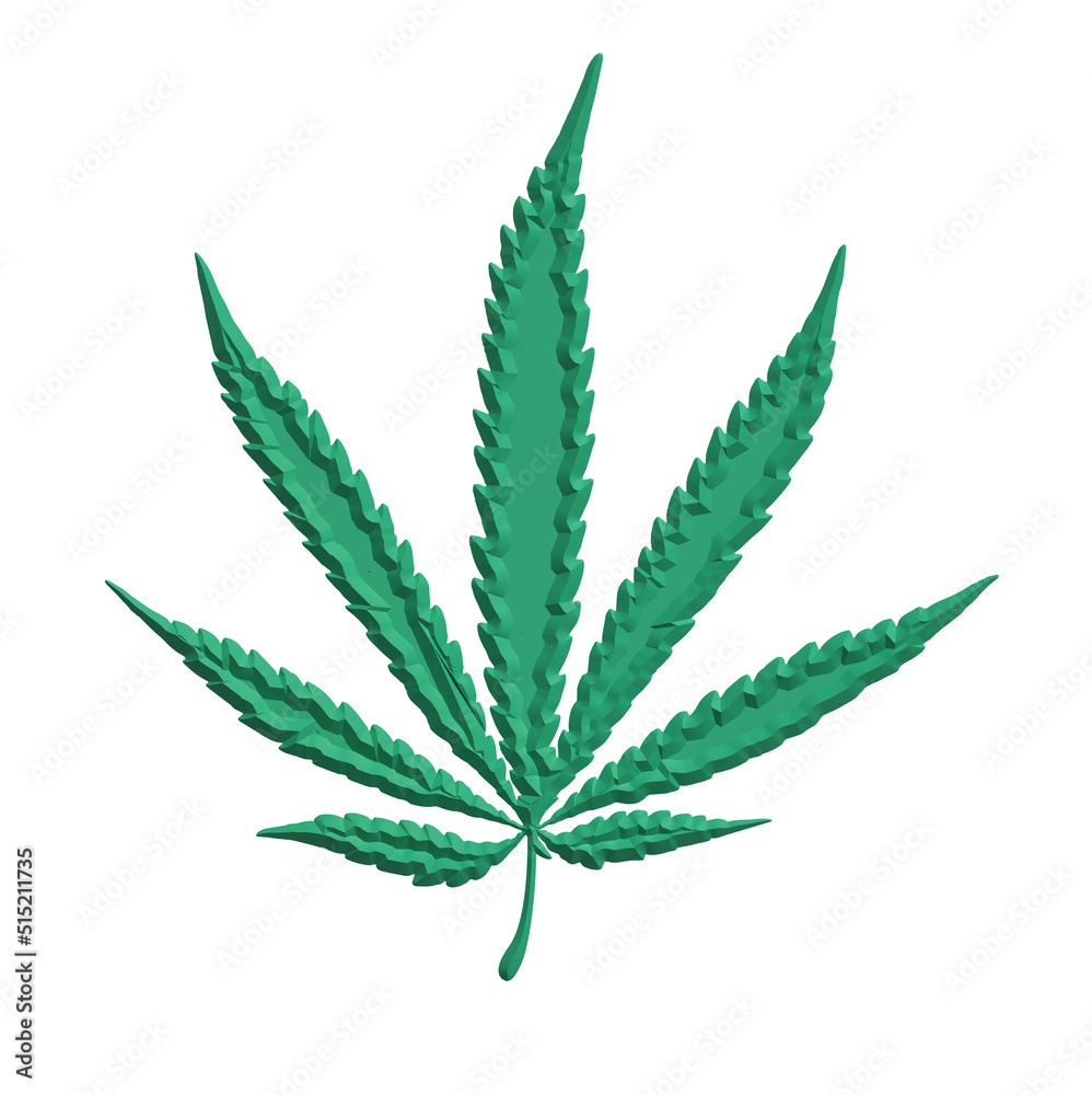 3D Realistic Marijuana seedlings have a drop of water. herb , Green leaf 3D Realistic Marijuana seedlings have a drop of water. herb , Green leaf