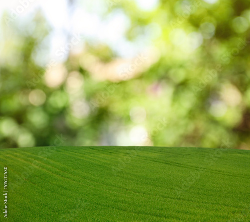 Fototapeta Naklejka Na Ścianę i Meble -  Beautiful lawn with green grass on sunny day. Bokeh effect