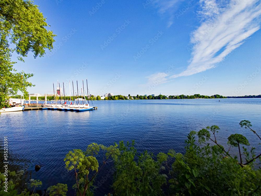 Obraz premium Hamburg Alster mit blauem Himmel, Wasser, Segelbooten