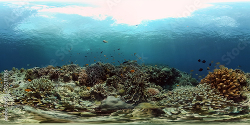 Reef Coral Scene. Tropical underwater sea fish. Hard and soft corals, underwater landscape. Philippines. Virtual Reality 360. © Alex Traveler