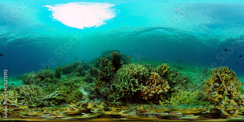 Fototapeta Naklejka Na Ścianę i Meble -  Coral reef underwater with fishes and marine life. Coral reef and tropical fish. Philippines. Virtual Reality 360.