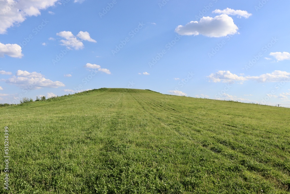 The green grass hill with the clouds in the blue sky.