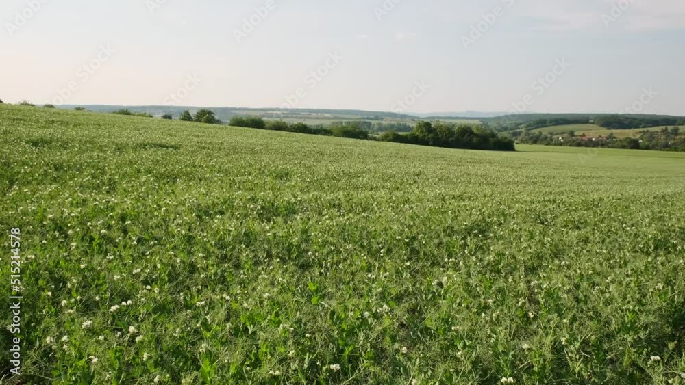 Summer Landscape with Rape Field on the Background of Beautiful. Deutchland. Summer Landscape with Rape Field on the Background of Beautiful. Deutchland.