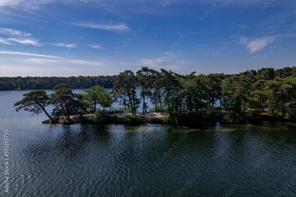 Silhouetted pine trees on the shore of IJzeren Man lake peninsula at bright summer afternoon against a clear sky with sand visible under water. Aerial of Dutch landscape.