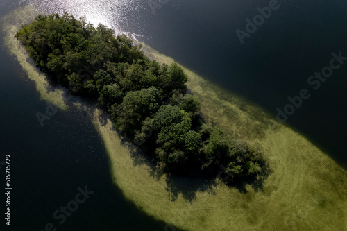 Slanted image showing vibrant green tree island top down aerial view in IJzeren Man lake full of trees with sand deposit sediment surrounding it seen just below the surface of the water