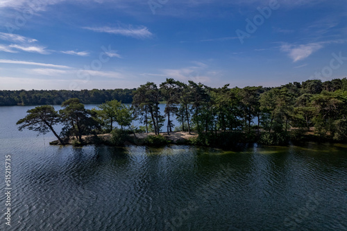Silhouetted pine trees on the shore of IJzeren Man lake peninsula at bright summer afternoon against a clear sky with sand visible under water. Aerial of Dutch landscape.