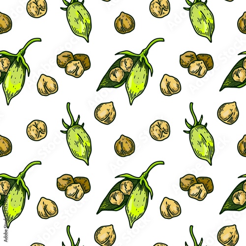 Hand drawn chickpeas pods and beans seamless pattern. Colorful botany vector illustration in sketch style