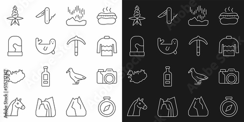 Set line Compass  Photo camera  Sweater  Northern lights  Fur seal animal  Christmas mittens  Lupine flower and Pickaxe icon. Vector