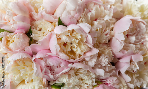 A charming bouquet of peonies. wedding bouquet of pink peonies. Beautiful Pink peony flower for catalog or online store. Floral shop concept. Beautiful fresh cut bouquet. Flower delivery