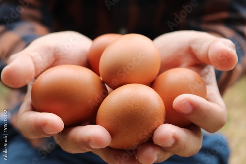 Close up of skillful farmer holding chicken eggs.