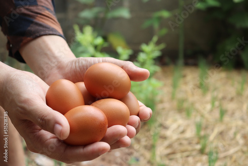 Brown egg in the hands of farmers.