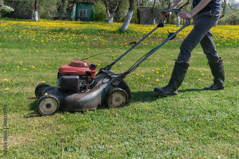 The work of a gasoline lawn mower in a spring garden plot for cleaning fresh grass, against a blurry background, a beautiful yet unmowed field of dandelions. Lawn care, spring work in the garden The work of a gasoline lawn mower in a spring garden plot for cleaning fresh grass, against a blurry background, a beautiful yet unmowed field of dandelions. Lawn care, spring work in the garden