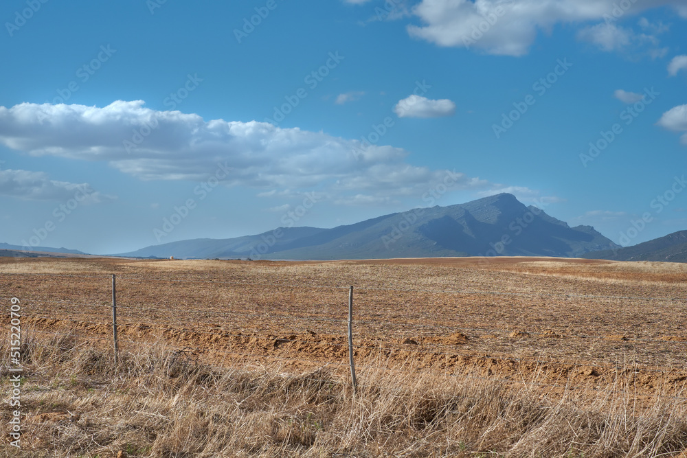 Farm land in the Western Cape of South Africa in the middle of the day with mountains and cloudy blue sky in the background. Dry outdoor field on a sunny day. Beautiful scenery with copy space.