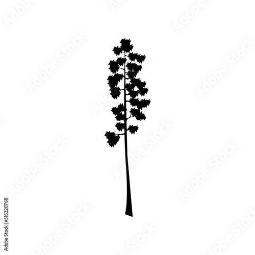 Giant Sequoia tree Silhouette vector