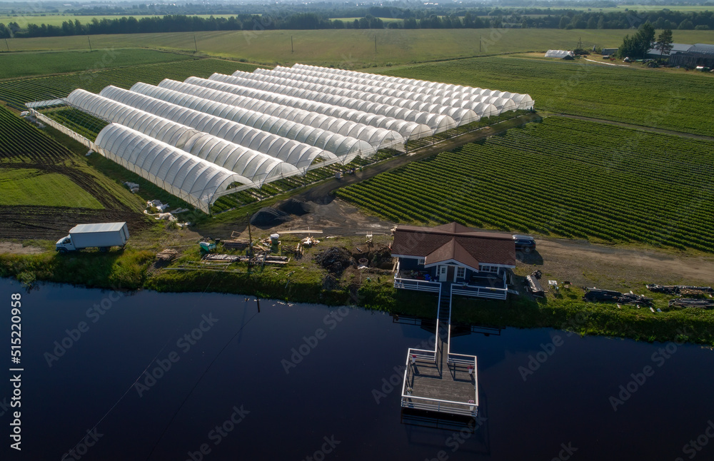 An aerial view shows greenhouses for growing strawberries from above. Country farming. Wooden house on the river bank.