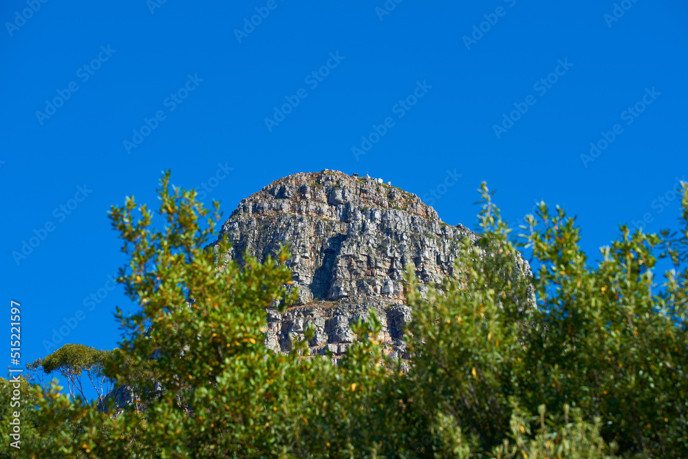 Panorama of Lions Head in Table Mountain National Park, Cape Town, South Africa with copy space. Beautiful landscape view of a peak in a blue sky on a summer day with lush green plants or trees Panorama of Lions Head in Table Mountain National Park, Cape Town, South Africa with copy space. Beautiful landscape view of a peak in a blue sky on a summer day with lush green plants or trees