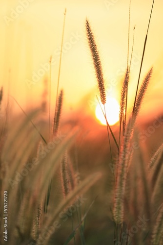 Sun set