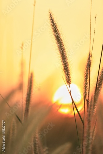 Sun set