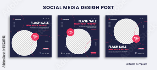 Set of Editable Social Media Instagram Design Post Template with Rounded shape and Navy pink color theme. Suitable for Poster, Sale Banner, Ads, Advertisement, Promotion, Business, School, Education, 