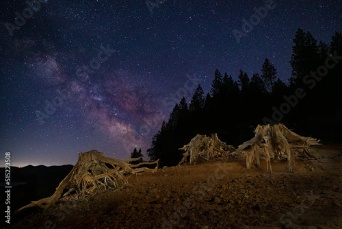 Light painted tree stumps along the shorline of Trinity Lake in Trinity California, USA.  Photographed in front of the Milky Way galactic core. photo