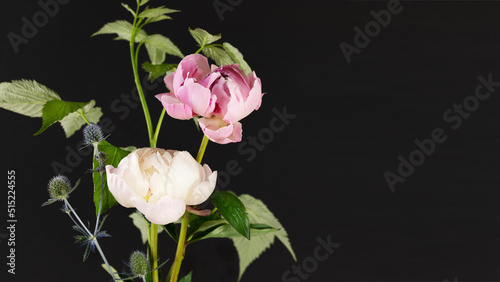 Floral composition with beautiful peonies and garden flowers on a dark background with copy space. Template for design of wedding invitations, holiday greetings, business card, decoration packaging