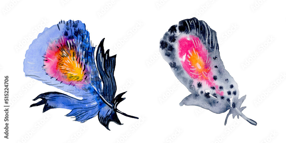 Feather element set. Hand drawn watercolor illustration.