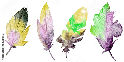 Feather element set. Hand drawn watercolor illustration. © FireFLYart