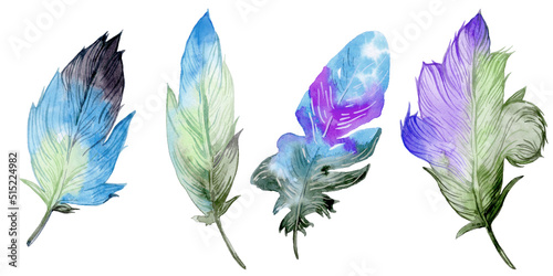 Feather element set. Hand drawn watercolor illustration.