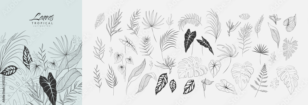 Floral tropical branch of palm in silhouette and line style. Hand drawn elegant exotic leaves for invitation save the date card design. Botanical trendy greenery