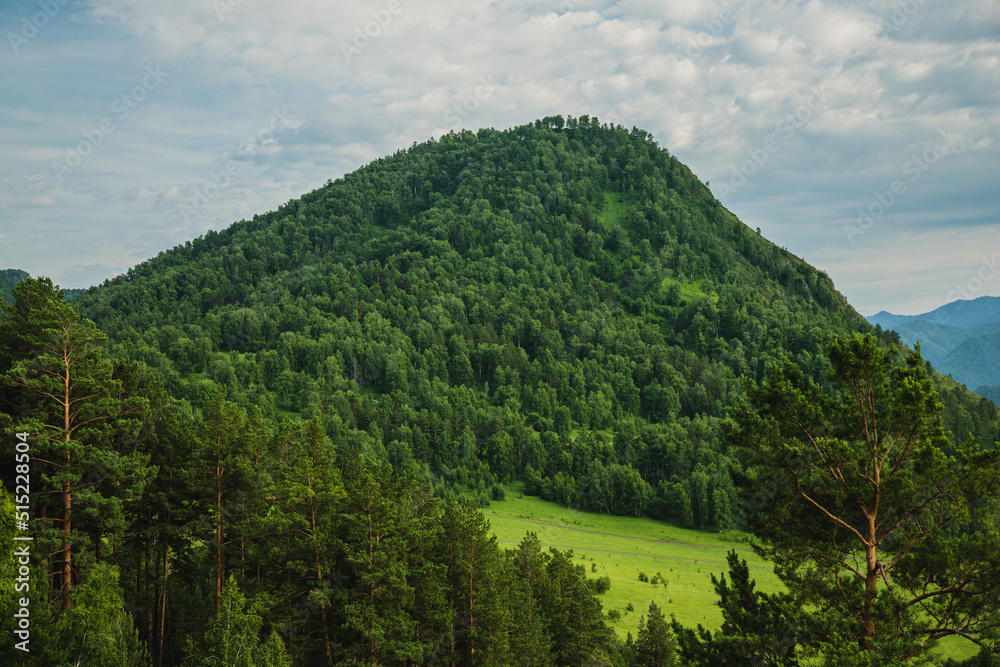 Landscape of mountains in summer