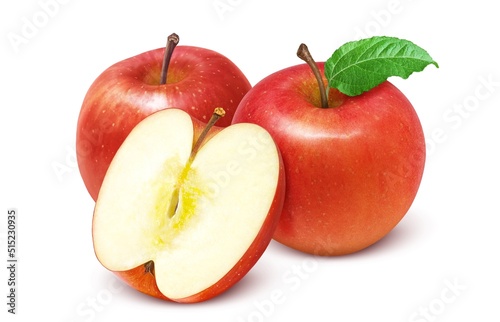 りんご リンゴ イラスト リアル セット