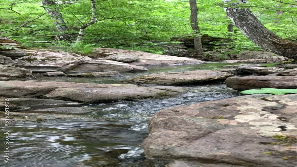 Mountain river - a small waterfall on a river with crystal clear water that flows among gray stones in a green forest on a cloudy summer day. Close up of a rock next to a body of water Mountain river - a small waterfall on a river with crystal clear water that flows among gray stones in a green forest on a cloudy summer day. Close up of a rock next to a body of water